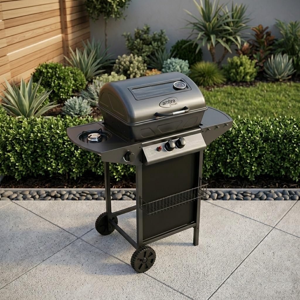 Barbecue a gas con pietra lavica