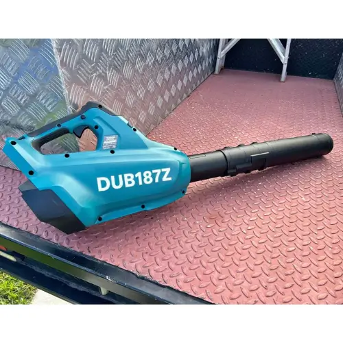 Recensione cliente soffiatore cordless