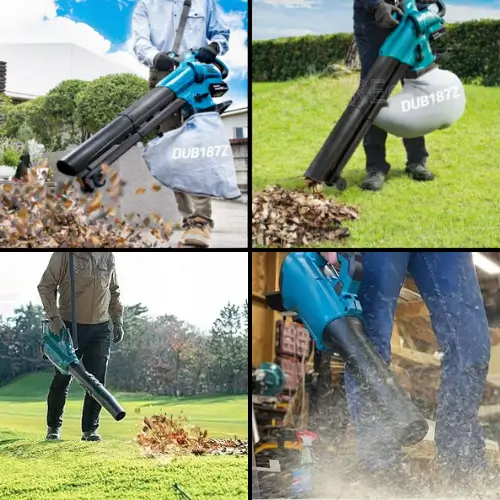 Soffiatore aspiratore per giardino e vialetto